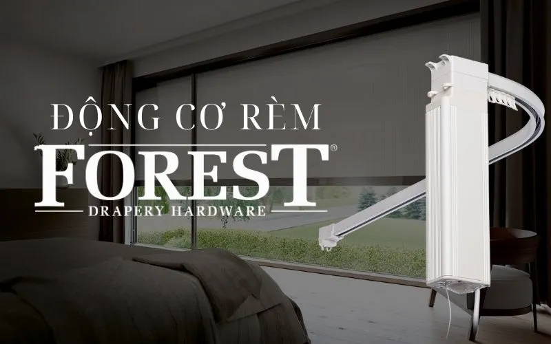 dong-co-rem-forest