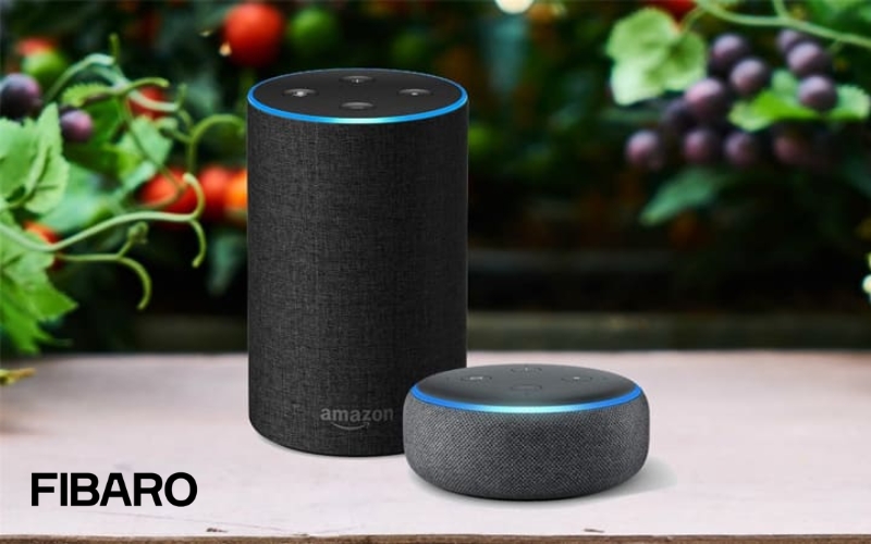 Loa thông minh Amazon echo