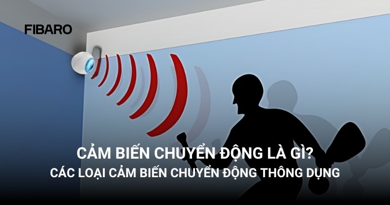 cảm biến chuyển động