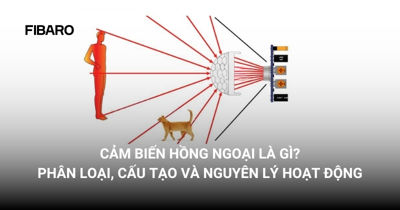 cảm biến hồng ngoại