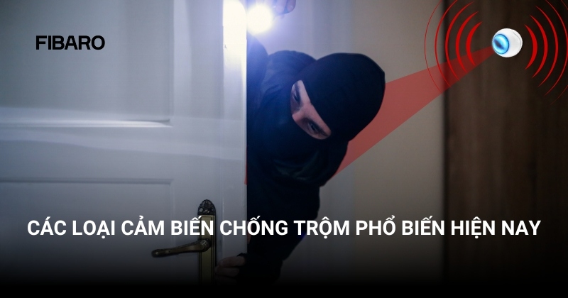 các loại cảm biến chống trộm